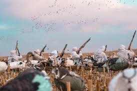 2nd Annual Snow Goose Hunt with River to River Outfitters