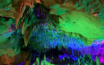 FL: Camping Trip – Florida Caverns State Park