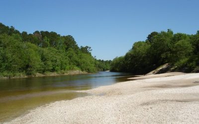 MS: Wolf River Float & River Clean-Up